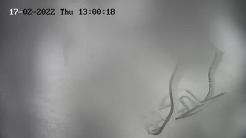 Драгобрат 17 лютого 2022 року, 2022-02-17 13:00