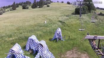 Ізкі 14 червня 2019 року, 2019-06-14 16:00