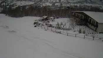 Красія 21 січня 2018 року, 2018-01-21 10:00