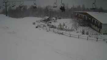 Красія 21 січня 2018 року, 2018-01-21 13:00