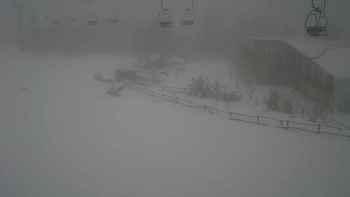 Красія 28 грудня 2018 року, 2018-12-28 13:00