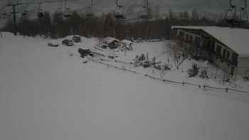 Красія 8 січня 2019 року, 2019-01-08 13:00