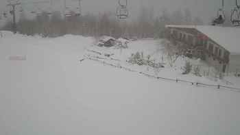 Красія 14 січня 2019 року, 2019-01-14 10:00
