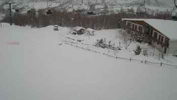 Красія 15 січня 2019 року, 2019-01-15 16:00