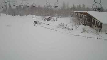 Красія 16 січня 2019 року, 2019-01-16 10:00