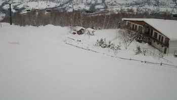 Красія 17 січня 2019 року, 2019-01-17 10:00