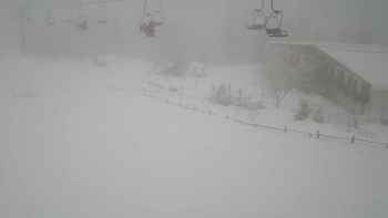 Красія 29 січня 2019 року, 2019-01-29 13:00