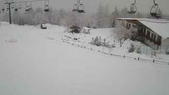 Красія 29 січня 2019 року, 2019-01-29 16:00