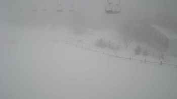 Красія 31 січня 2019 року, 2019-01-31 16:00