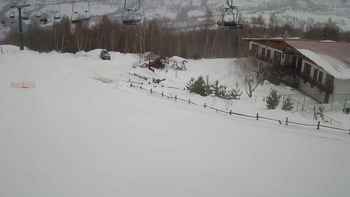 Красія 1 лютого 2019 року, 2019-02-01 10:00
