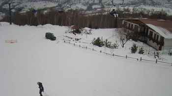 Красія 1 лютого 2019 року, 2019-02-01 13:00