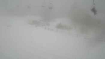 Красія 11 лютого 2019 року, 2019-02-11 13:00