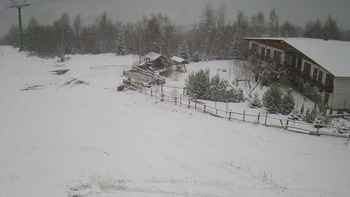 Красія 3 грудня 2019 року, 2019-12-03 13:00
