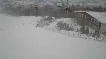 Красія 31 грудня 2019 року, 2019-12-31 16:00
