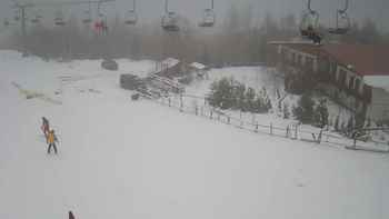 Красія 13 січня 2020 року, 2020-01-13 13:00