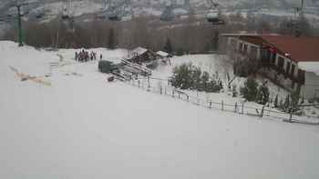 Красія 14 січня 2020 року, 2020-01-14 13:00