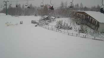Красія 31 січня 2020 року, 2020-01-31 16:00
