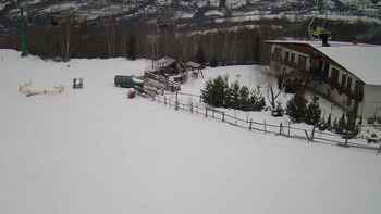 Красія 8 лютого 2020 року, 2020-02-08 10:00