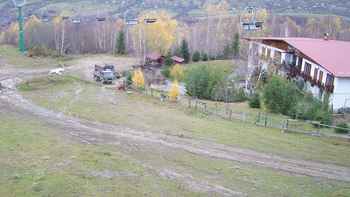 Красія 20 листопада 2020 року, 2020-11-20 13:00