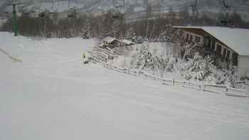 Красія 15 січня 2021 року, 2021-01-15 13:00