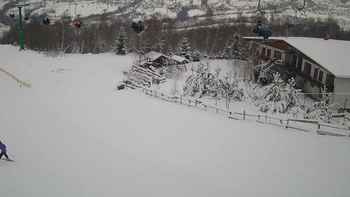 Красія 17 січня 2021 року, 2021-01-17 16:00