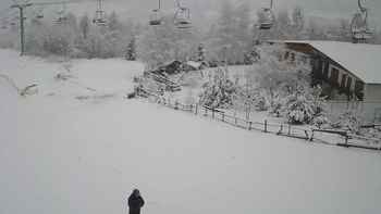 Красія 25 січня 2021 року, 2021-01-25 13:00
