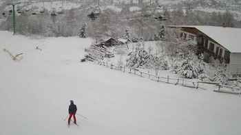 Красія 26 січня 2021 року, 2021-01-26 10:00