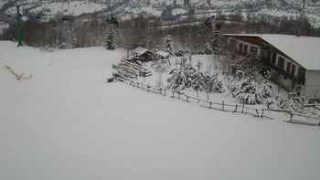 Красія 29 січня 2021 року, 2021-01-29 10:00