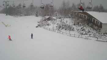 Красія 29 січня 2021 року, 2021-01-29 13:00