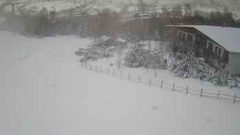 Красія 20 грудня 2021 року, 2021-12-20 13:00