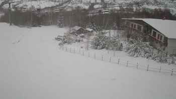 Красія 20 грудня 2021 року, 2021-12-20 16:00