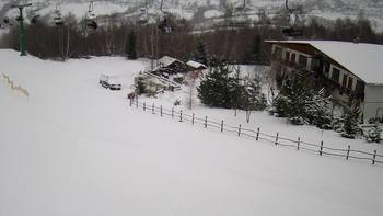 Красія 21 січня 2022 року, 2022-01-21 13:00