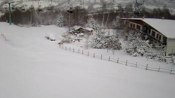 Красія 22 січня 2022 року, 2022-01-22 10:00