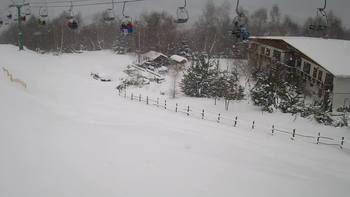 Красія 23 січня 2022 року, 2022-01-23 10:00