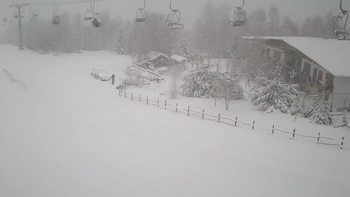 Красія 28 січня 2022 року, 2022-01-28 16:00