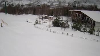 Красія 31 січня 2022 року, 2022-01-31 10:00