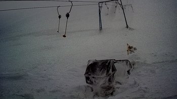 Драгобрат 6 лютого 2018 року, 2018-02-06 16:00