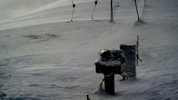 Драгобрат 7 березня 2019 року, 2019-03-07 10:00