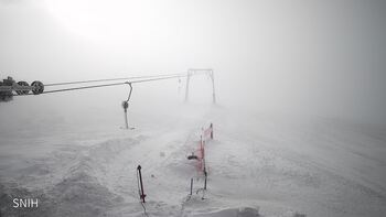 Драгобрат 22 лютого 2026 року, 2026-02-22 10:00