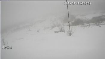 Тернопіль 29 січня 2019 року, 2019-01-29 10:00