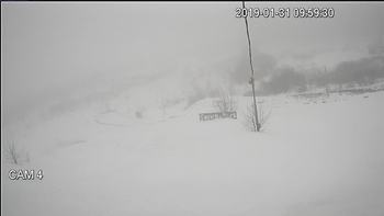 Тернопіль 31 січня 2019 року, 2019-01-31 10:00