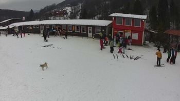 Красія 26 січня 2018 року, 2018-01-26 13:00