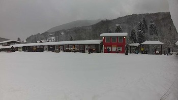 Красія 15 січня 2019 року, 2019-01-15 10:00