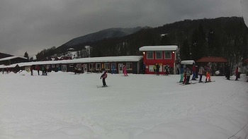Красія 17 січня 2019 року, 2019-01-17 13:00