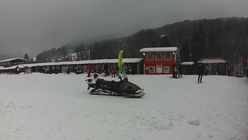 Красія 29 січня 2019 року, 2019-01-29 13:00