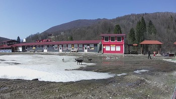 Красія 31 березня 2019 року, 2019-03-31 13:00