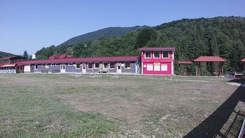 Красія 25 липня 2019 року, 2019-07-25 10:00