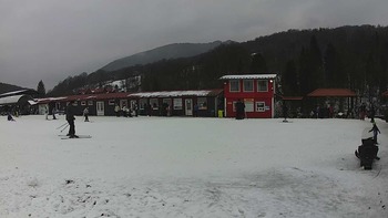 Красія 13 січня 2020 року, 2020-01-13 16:00