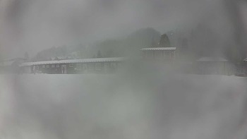 Красія 31 січня 2020 року, 2020-01-31 10:00