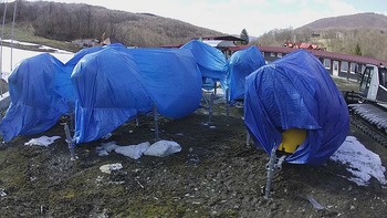 Красія 31 березня 2020 року, 2020-03-31 13:00
